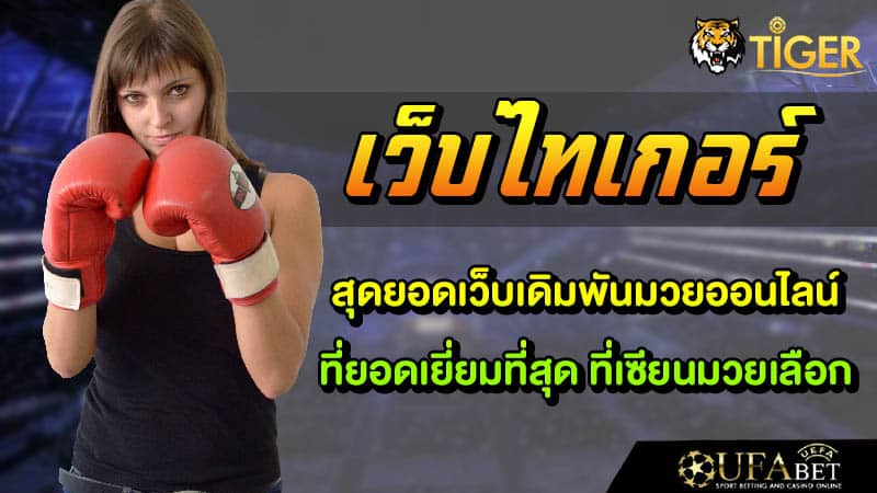 เว็บไทเกอร์