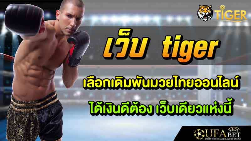 เว็บมวย tiger