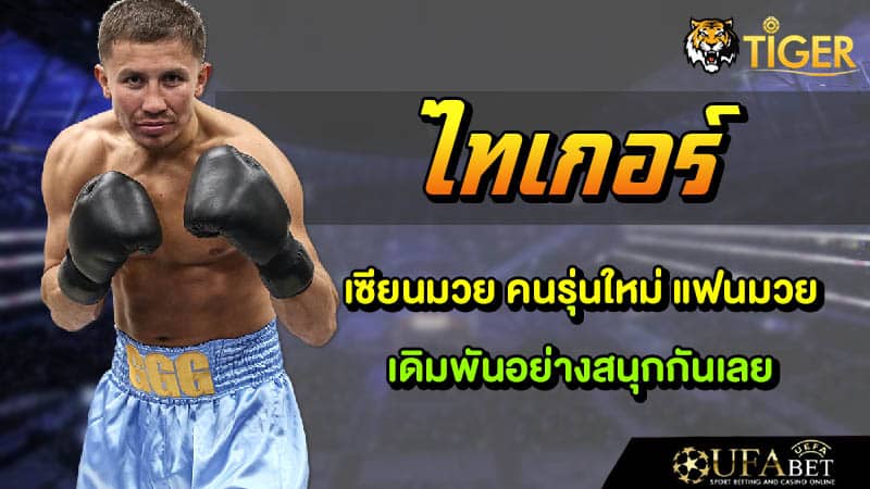 เว็บมวยไทเกอร์