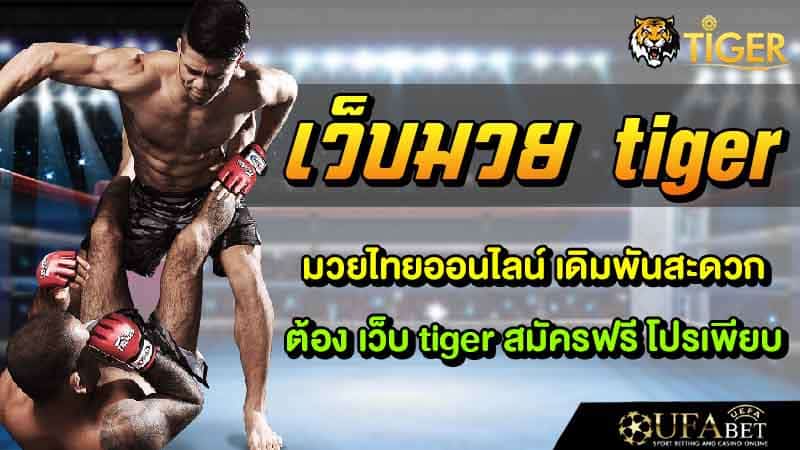 เว็บ tiger