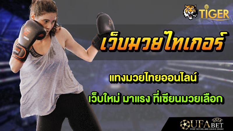 ไทเกอร์